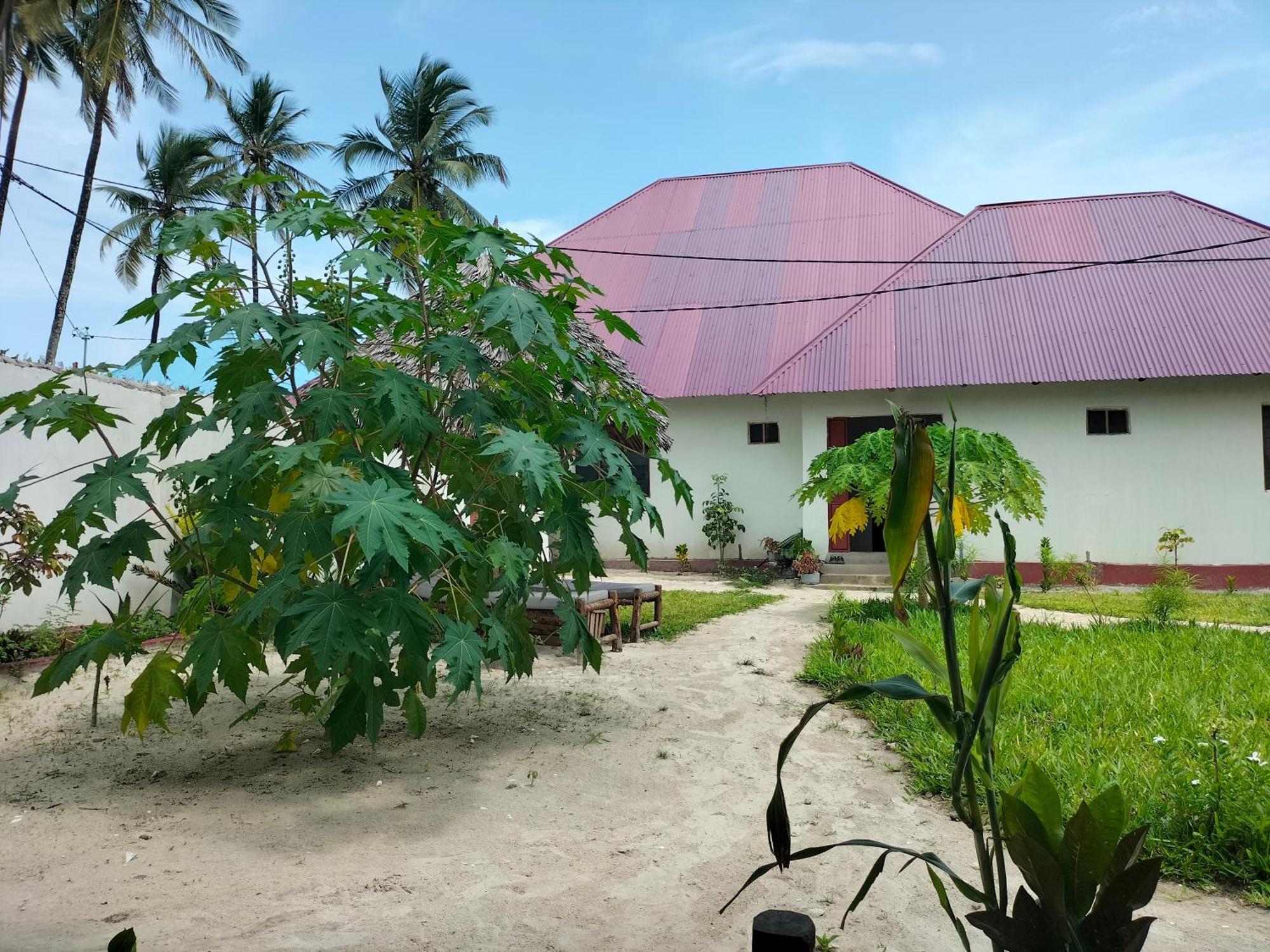 Mambo Leo Hostel Падже Екстер'єр фото